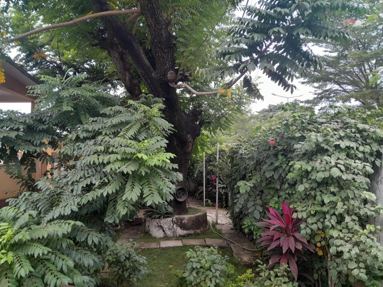 Casa De Ferias Apartment Sao Tome Exterior photo